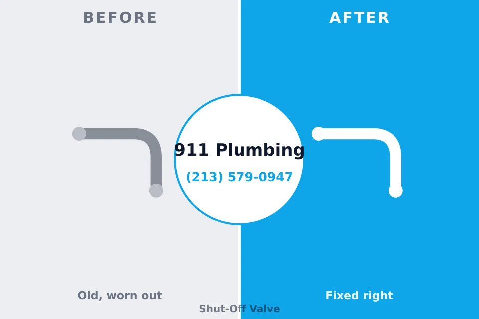 Before and after: plumbing repair North Bend, WA